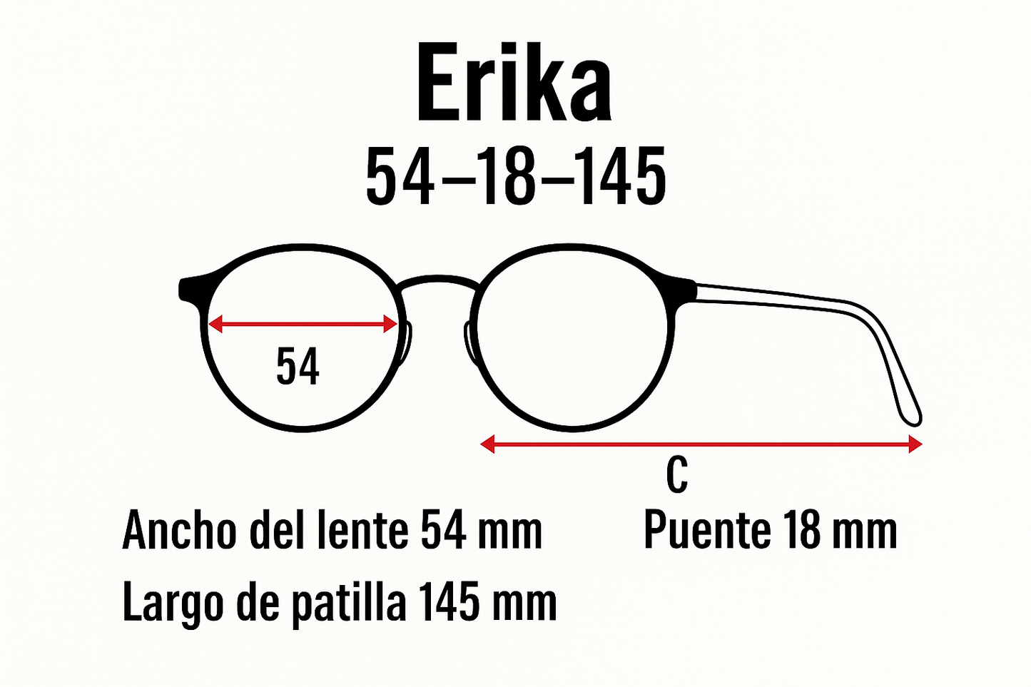 Ray-Ban Erika Negro Polarizado (RB4171)