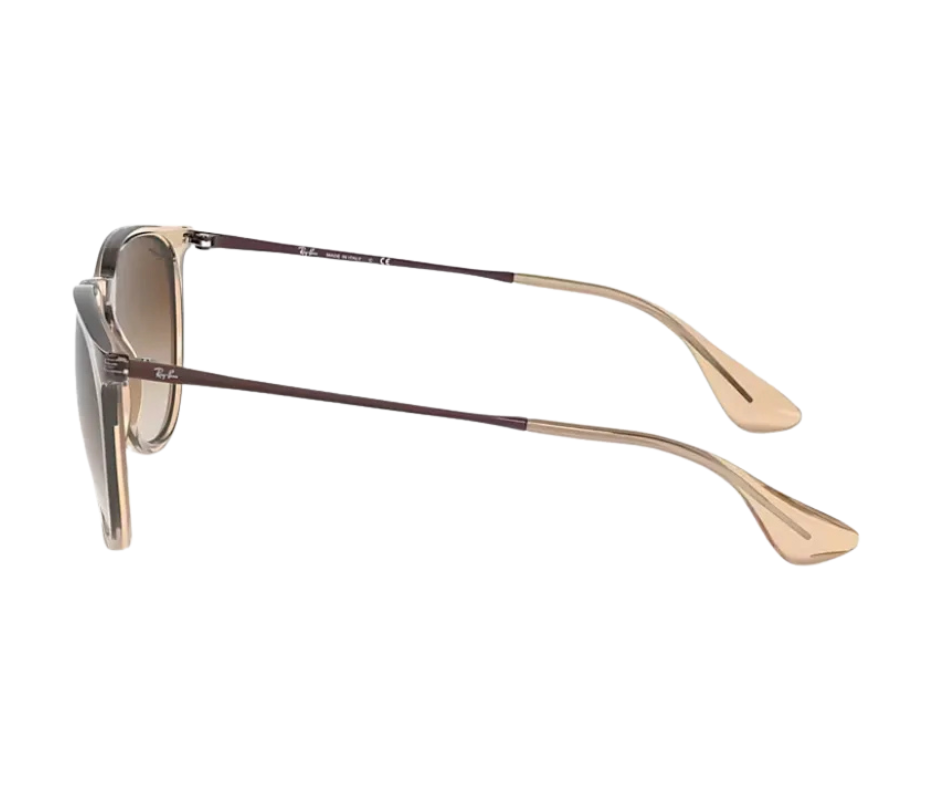 Ray-Ban Erika Transparente Marrón (RB4171)